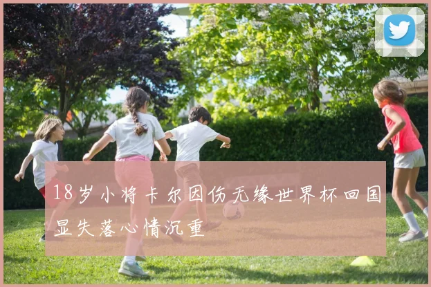 18岁小将卡尔因伤无缘世界杯回国显失落心情沉重